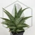 20260619_141002.webp