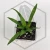 20260619_141112.webp