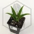 20260619_141201.webp