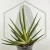 20260619_141326.webp