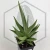 20260619_141811.webp