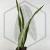 20260619_142050.webp