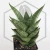 20260619_142138.webp