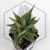 20260619_142320.webp