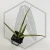 20260619_142515.webp