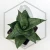 20260619_142540.webp