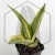 20260619_142729.webp