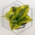 20260619_142814.webp