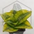 20260619_142818.webp