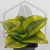 20260619_142819.webp