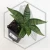 20260619_142850.webp