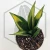 20260619_142934.webp
