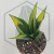 20260619_142937.webp