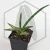 20260619_143004.webp