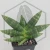 20260619_143051.webp