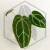 20260622_110935.webp