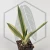 20260715_112619.webp