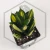20260715_112912.webp