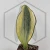 20260715_115902.webp