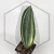 20260715_120056.webp