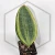 20260715_120139.webp