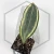20260715_120209.webp