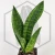 20260715_122203.webp