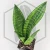 20260715_122215.webp