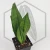 20260715_123407.webp