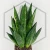20260715_125857.webp