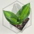 20260715_130106.webp