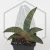 20260715_130141.webp