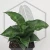 20260715_130230.webp