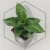20260715_130245.webp