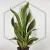 20260715_130326.webp