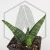 20260715_130544.webp