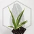 20260715_131743.webp