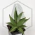 20260715_132010.webp