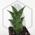 20260715_132139.webp