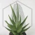 20260715_133302.webp