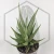 20260715_133314.webp
