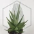 20260715_133320.webp