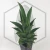 20260715_133413.webp