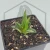 20260715_144830.webp
