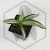 20260715_150100.webp