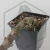 20260715_150233.webp