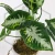 20260716_103338.webp