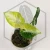 20260716_103430.webp