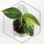 20260716_103504.webp