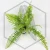 20260716_104201.webp